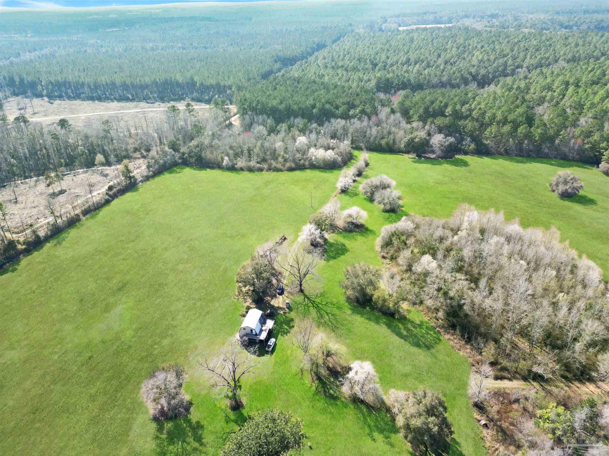 4343 East Plympton Road Laurel Hill, FL 32567 - Photo 51 of 60