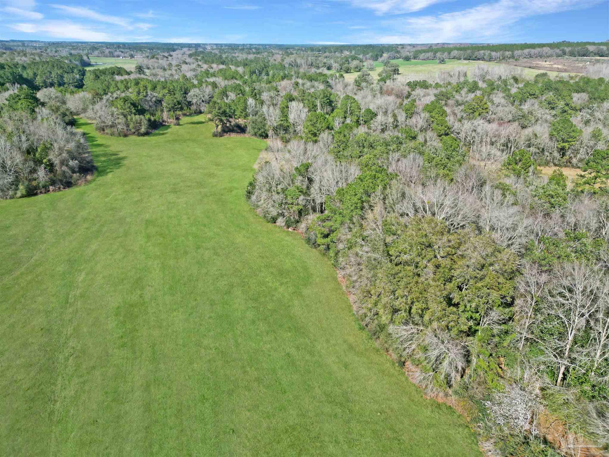 4343 East Plympton Road Laurel Hill, FL 32567 - Photo 52 of 60