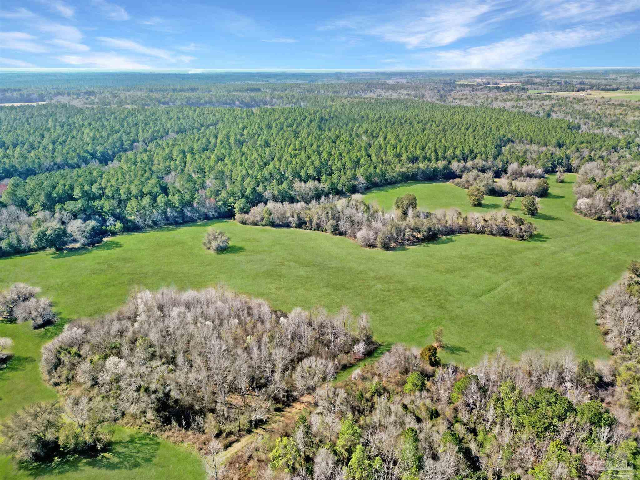 4343 East Plympton Road Laurel Hill, FL 32567 - Photo 54 of 60