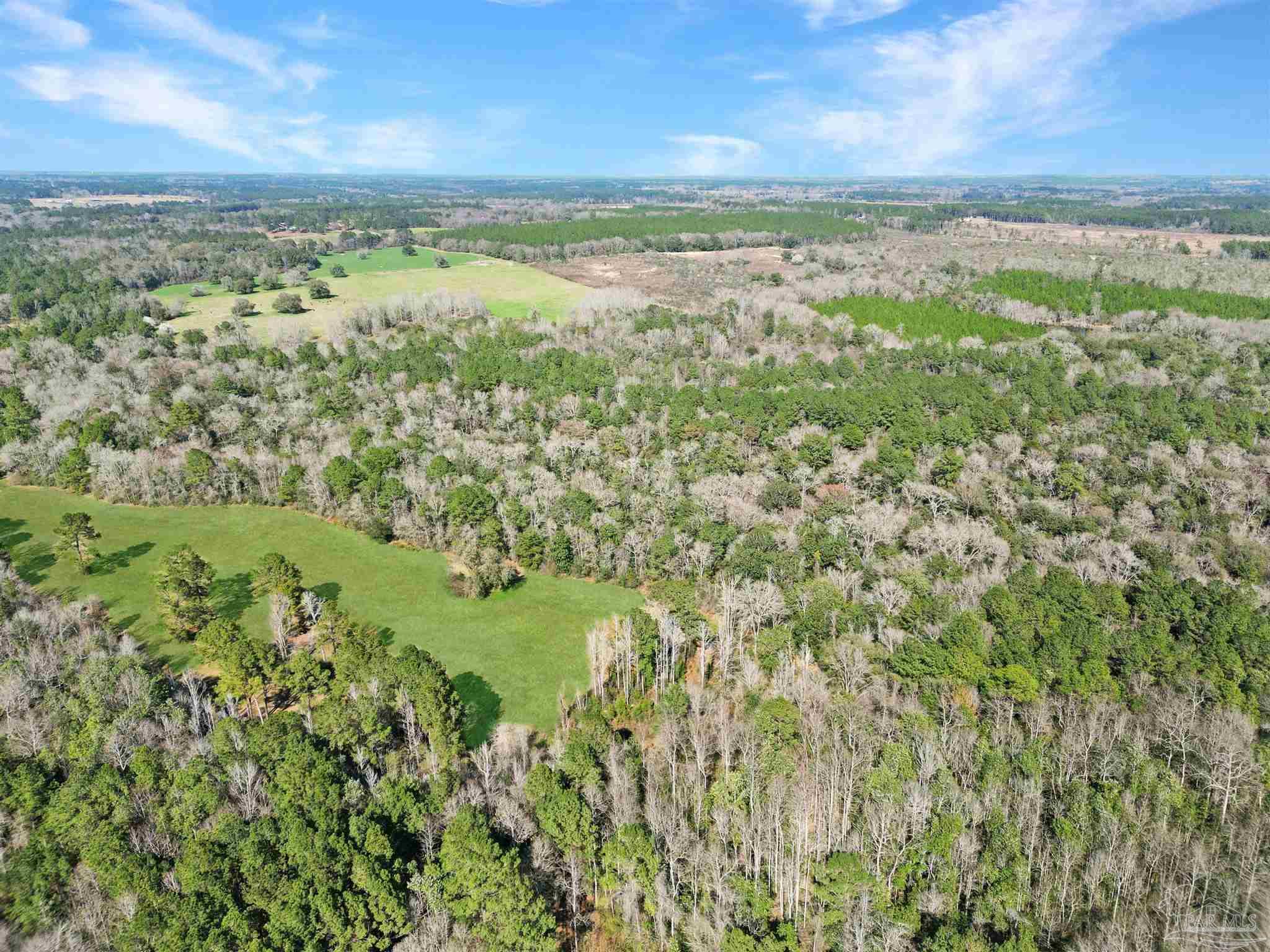 4343 East Plympton Road Laurel Hill, FL 32567 - Photo 55 of 60