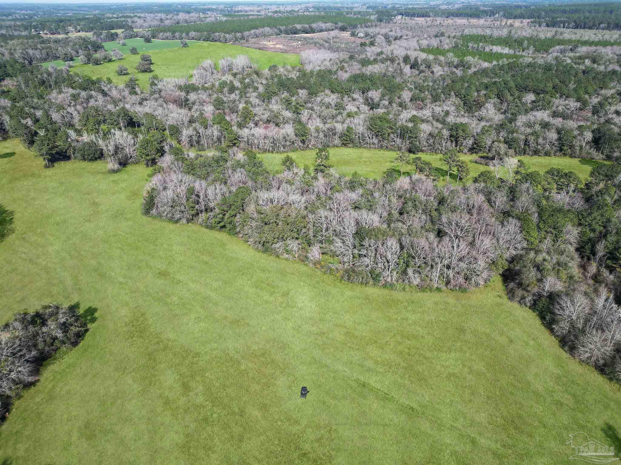 4343 East Plympton Road Laurel Hill, FL 32567 - Photo 56 of 60