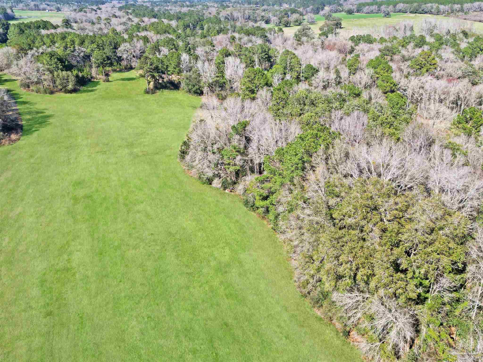 4343 East Plympton Road Laurel Hill, FL 32567 - Photo 58 of 60