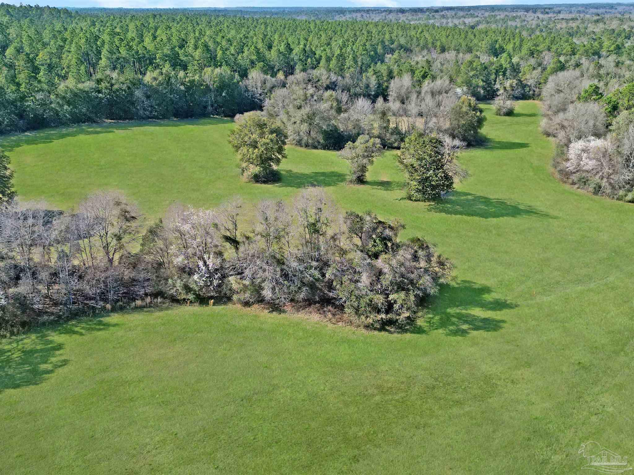 4343 East Plympton Road Laurel Hill, FL 32567 - Photo 60 of 60