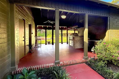 a tall tree in middle of the garden