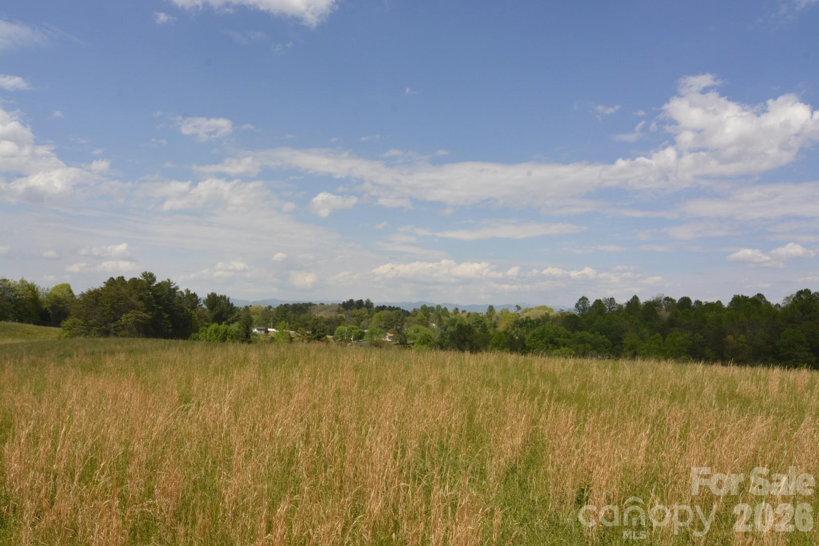 16 Rocking Chair Lane Leicester, NC 28748 - Photo 16 of 44