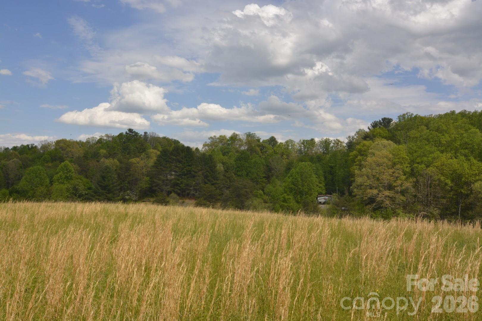 16 Rocking Chair Lane Leicester, NC 28748 - Photo 17 of 44