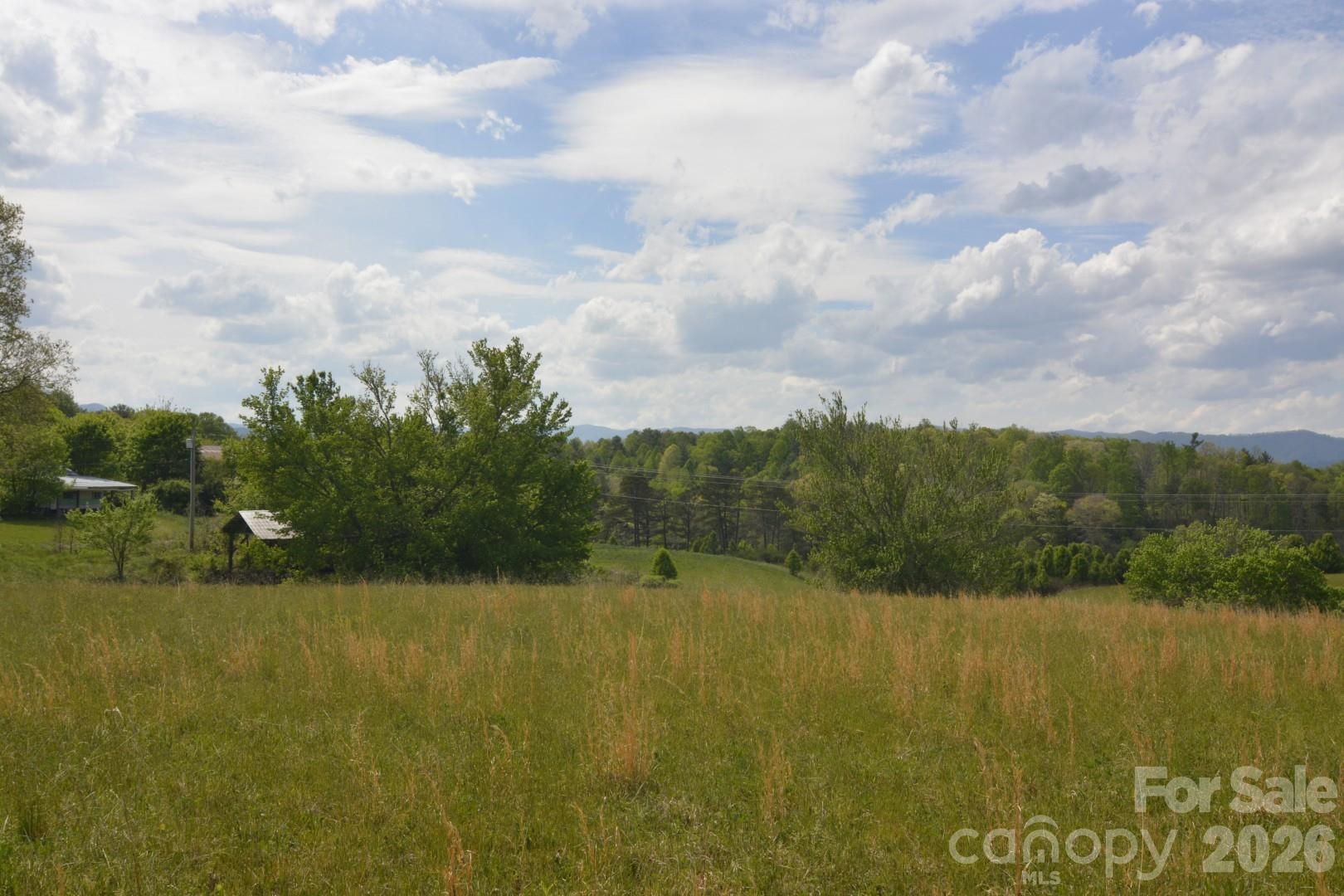 16 Rocking Chair Lane Leicester, NC 28748 - Photo 20 of 44