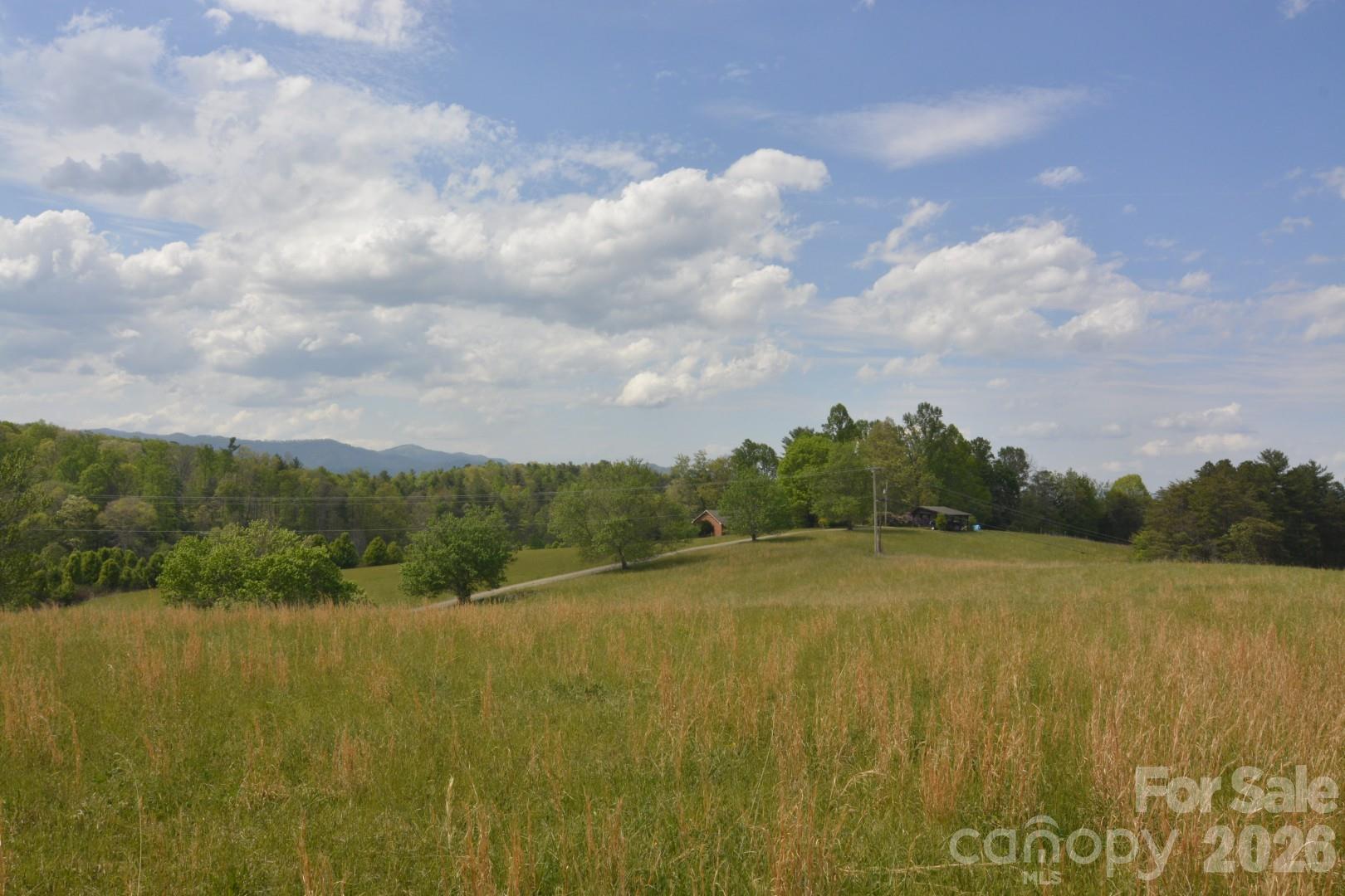 16 Rocking Chair Lane Leicester, NC 28748 - Photo 2 of 44
