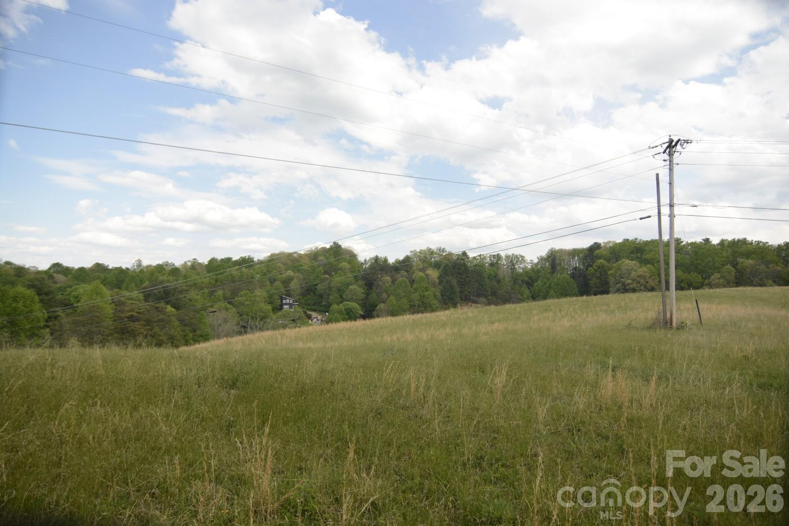 16 Rocking Chair Lane Leicester, NC 28748 - Photo 21 of 44