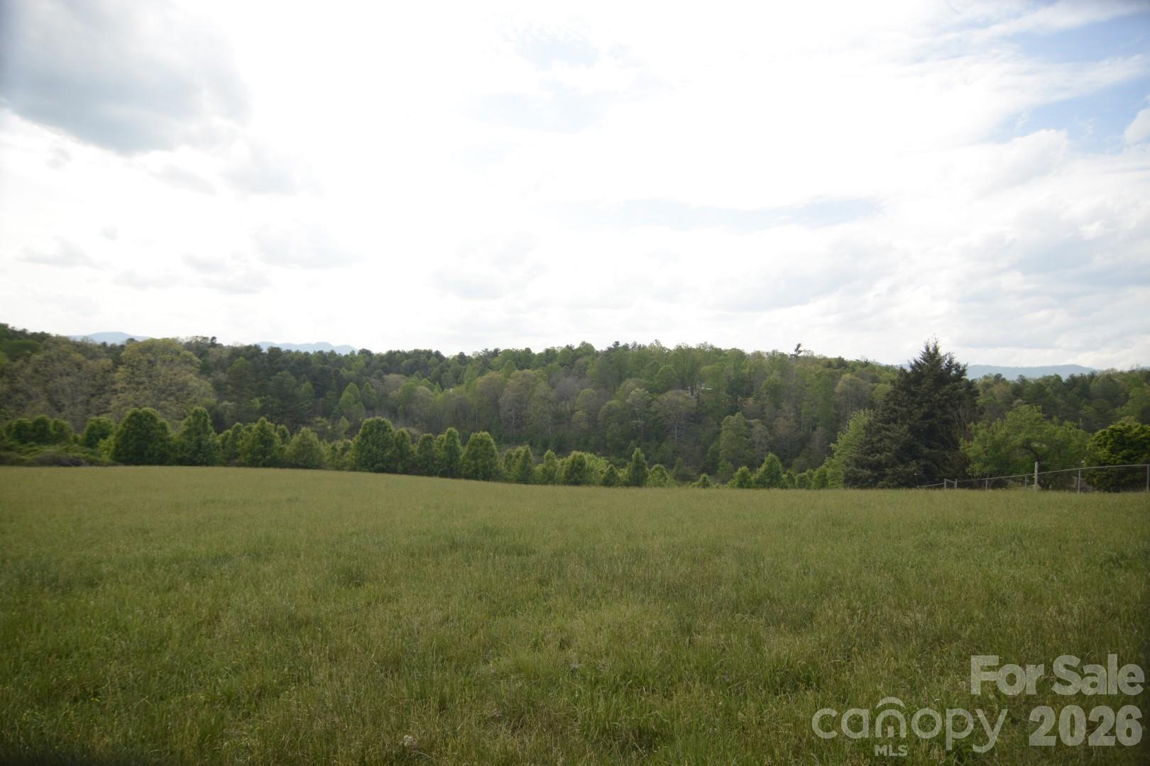 16 Rocking Chair Lane Leicester, NC 28748 - Photo 23 of 44