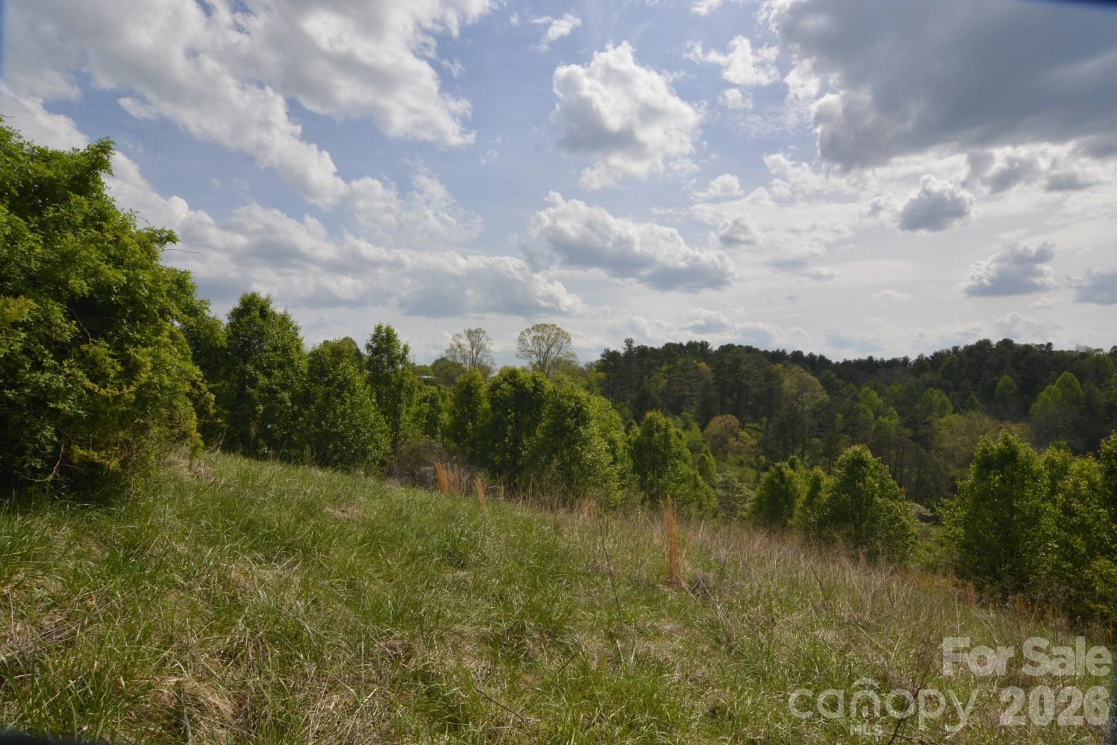 16 Rocking Chair Lane Leicester, NC 28748 - Photo 24 of 44