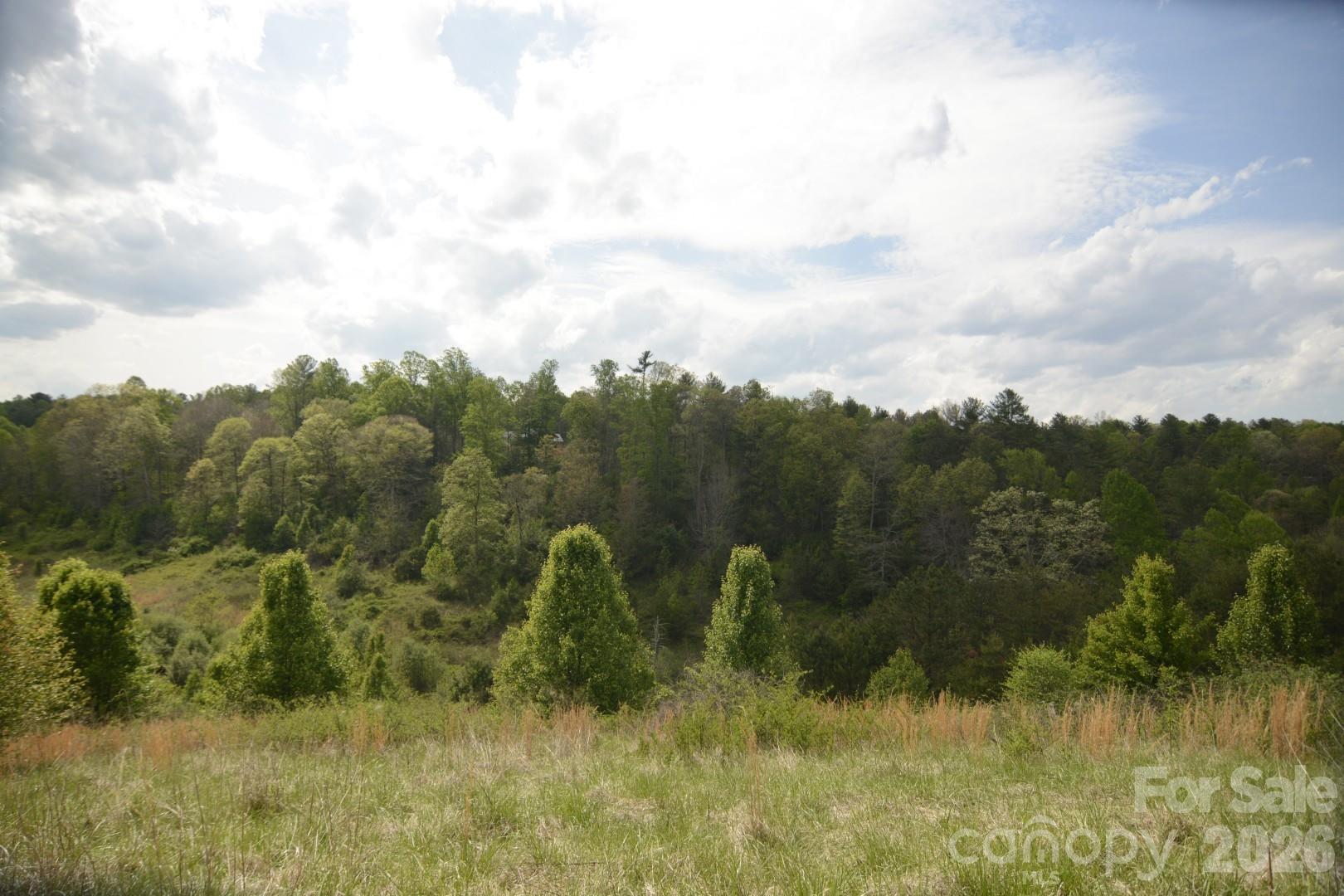 16 Rocking Chair Lane Leicester, NC 28748 - Photo 25 of 44