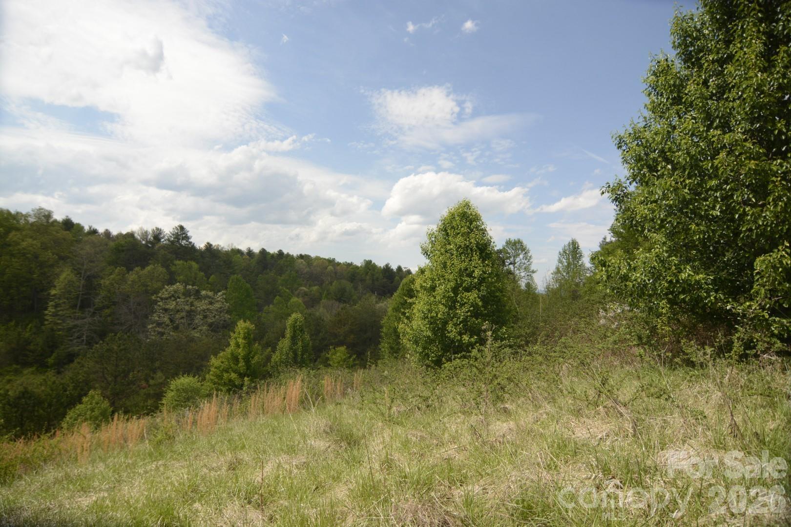 16 Rocking Chair Lane Leicester, NC 28748 - Photo 26 of 44