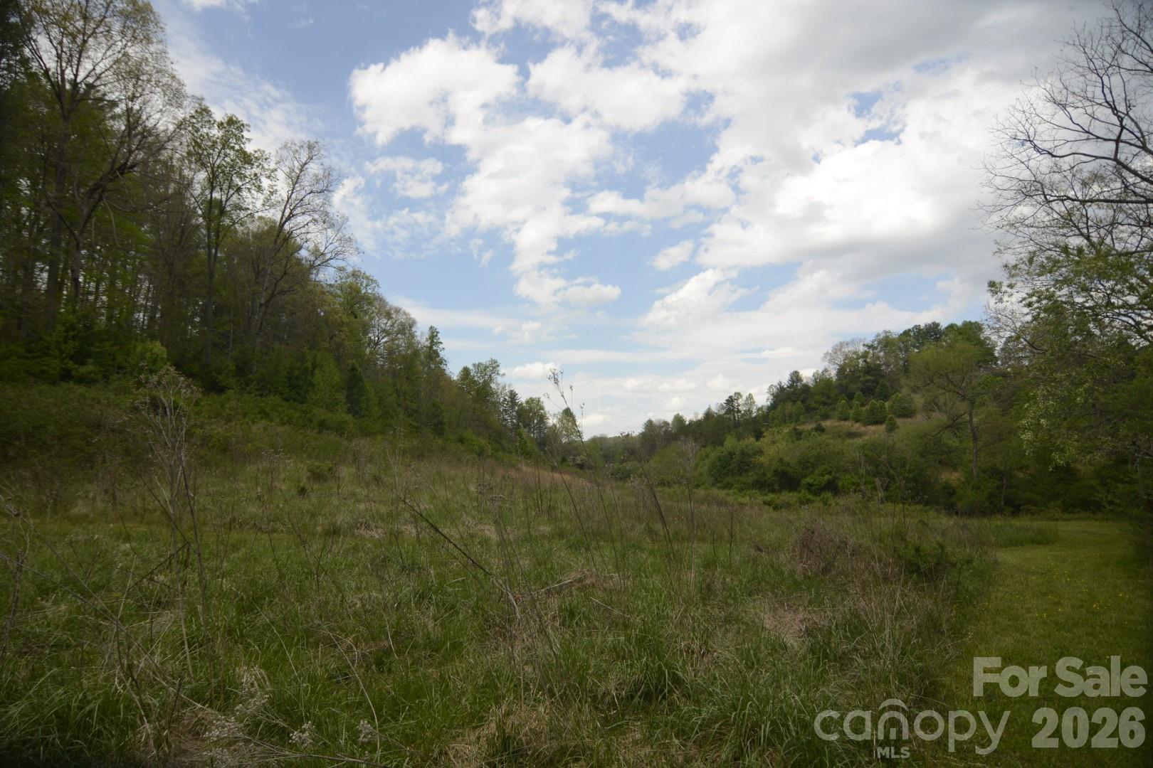16 Rocking Chair Lane Leicester, NC 28748 - Photo 29 of 44