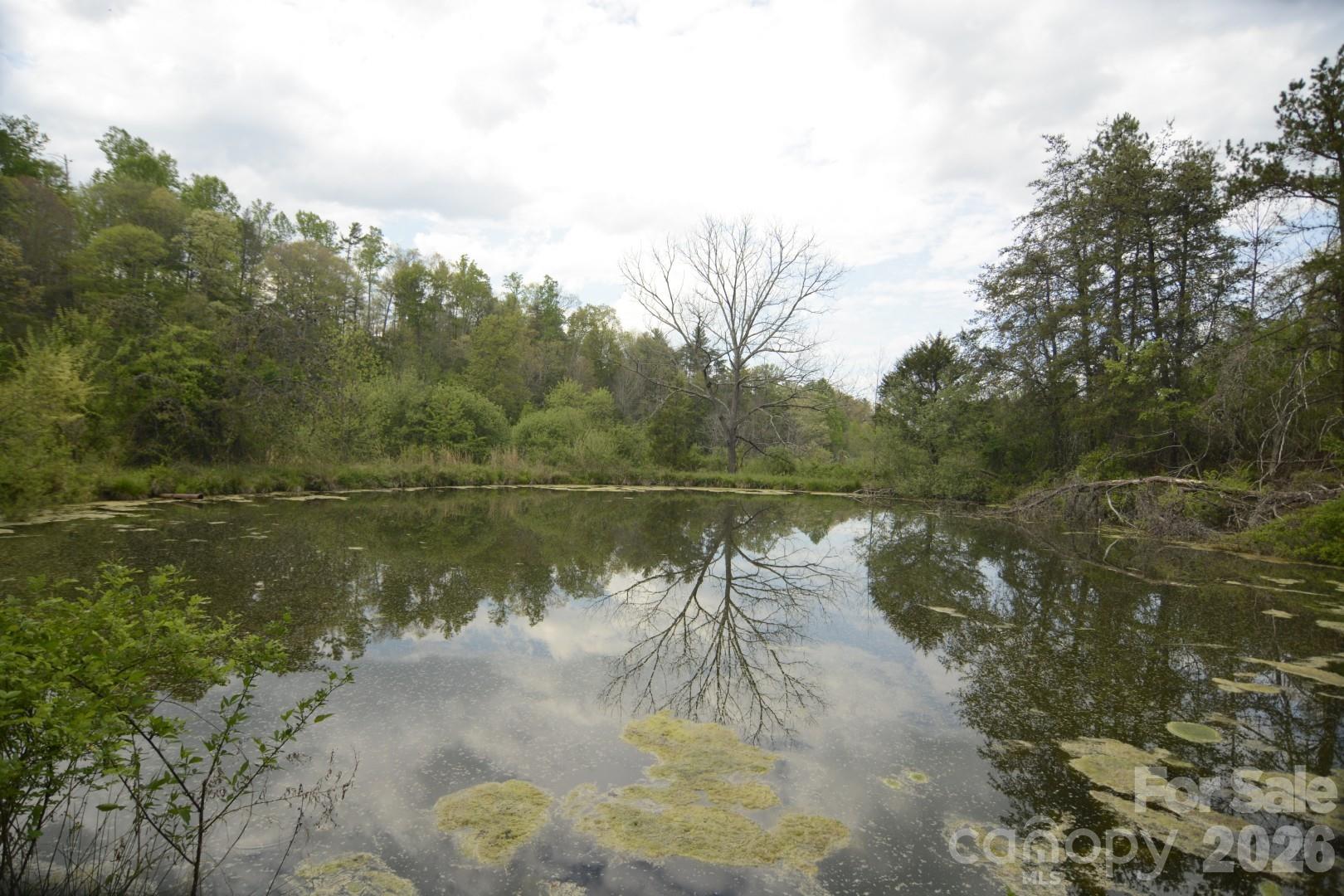 16 Rocking Chair Lane Leicester, NC 28748 - Photo 30 of 44