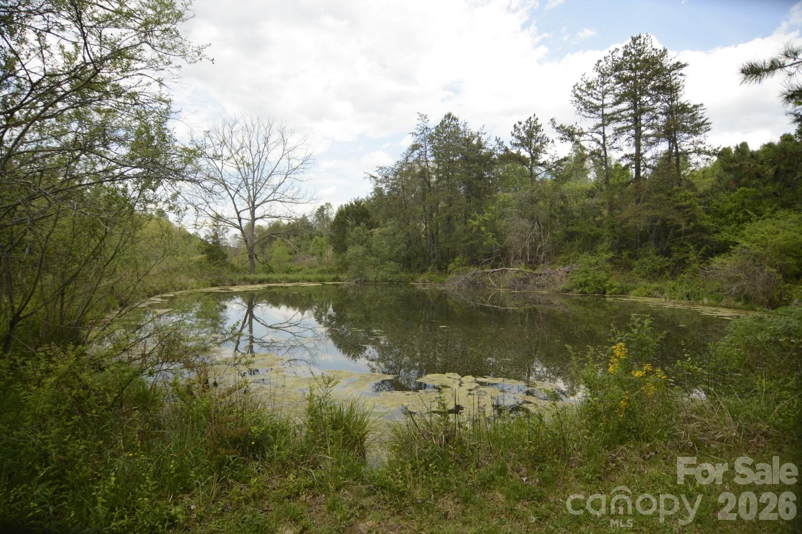 16 Rocking Chair Lane Leicester, NC 28748 - Photo 3 of 44