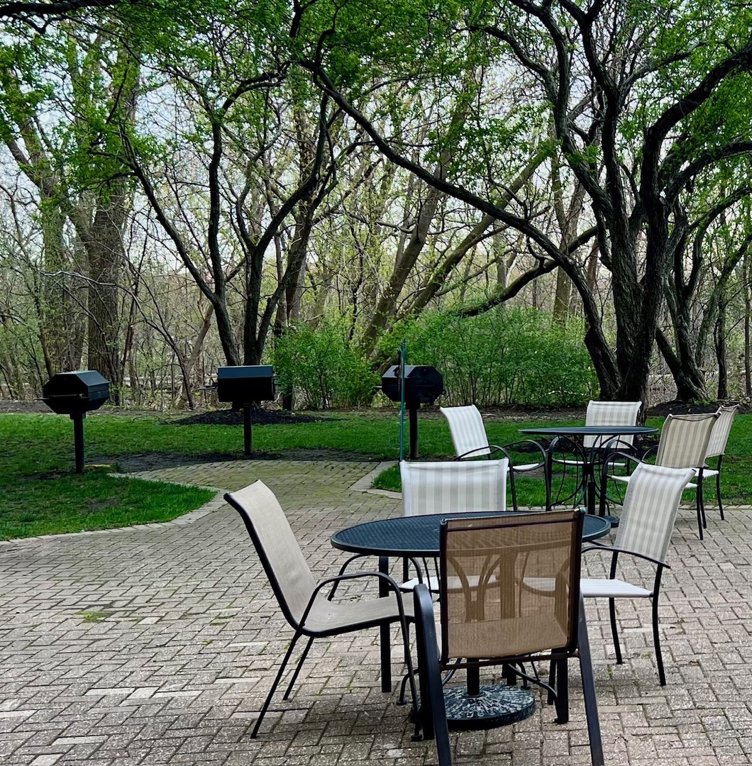 1 Renaissance Place, Unit 719 Palatine, IL 60067 - Photo 34 of 34 a view of backyard with seating and green space