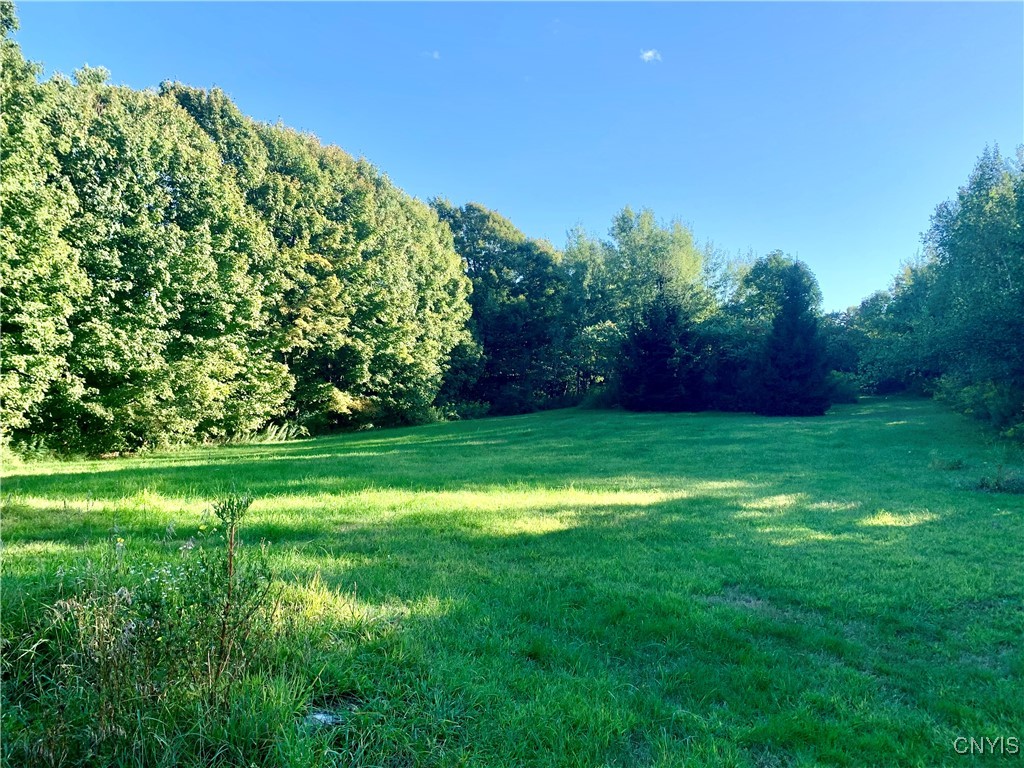 1871 Highway 13 Altmar, NY 13302 - Photo 9 of 25