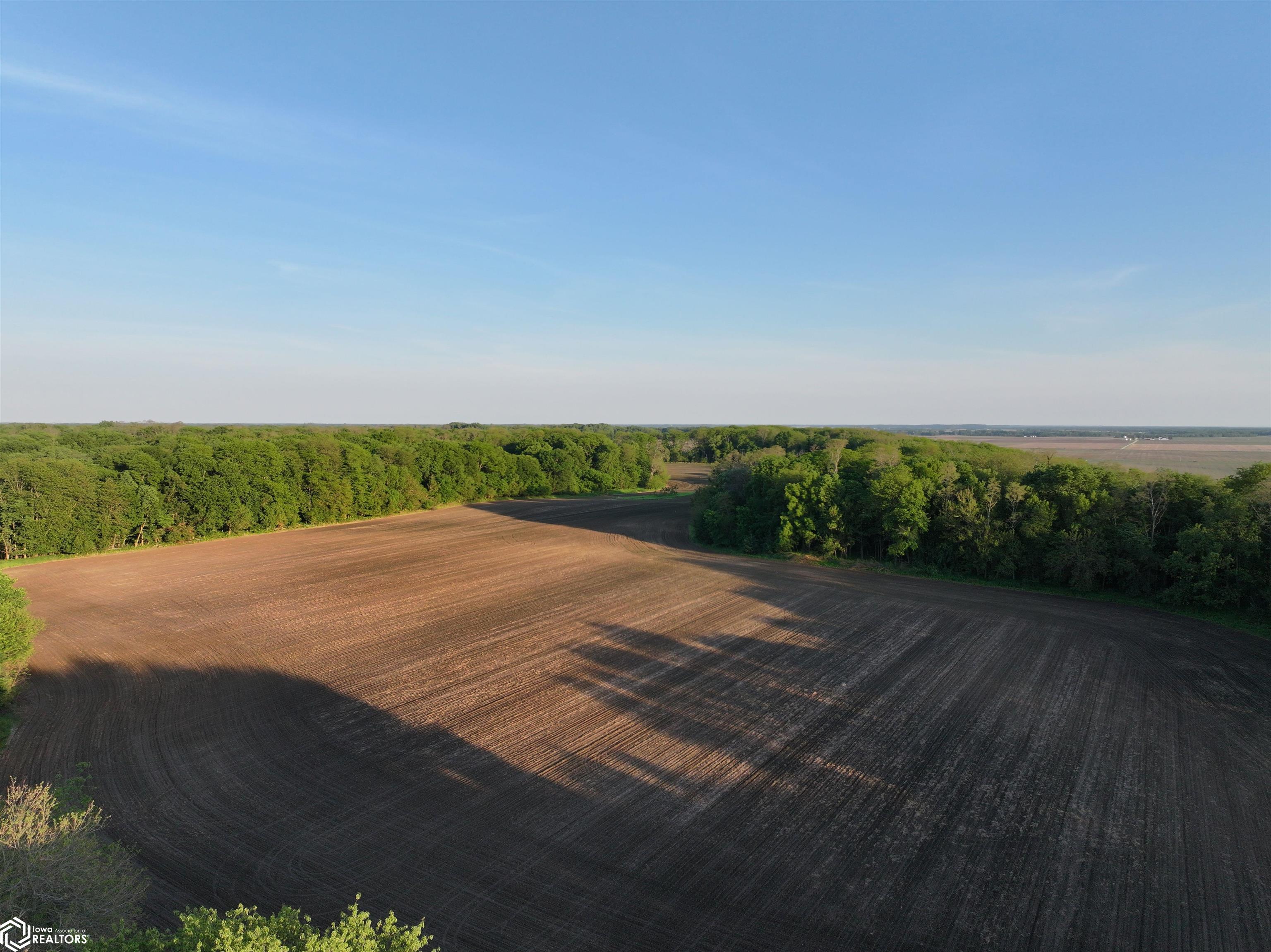 Bluff Road Joy, IL 61260 - Photo 14 of 27 Gallery Image 14