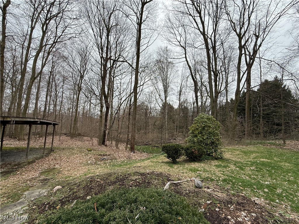 3122 South Medina Line Road Wadsworth, OH 44281 - Photo 10 of 41 View of yard with a detached carport