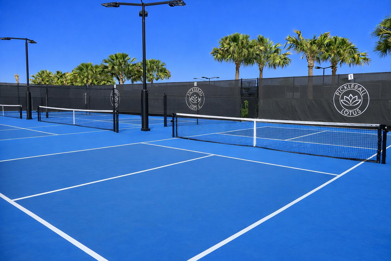 17318 Pagoda Palms Drive Boca Raton, FL 33496 - Photo 92 of 92 PICKLEBALL COURTS