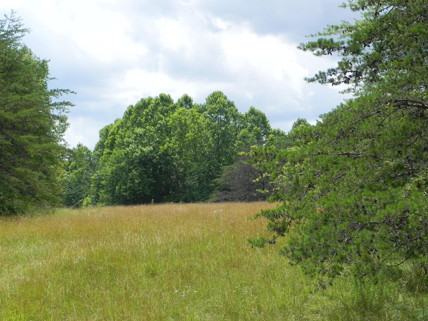 9999 Sasser School Road London, KY 40744 - Photo 22 of 53 Listing Photo
