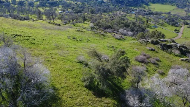 a view of a garden with a tree