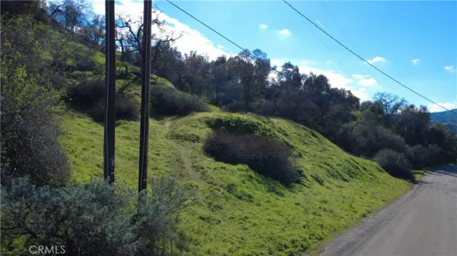 a view of an outdoor space and a yard