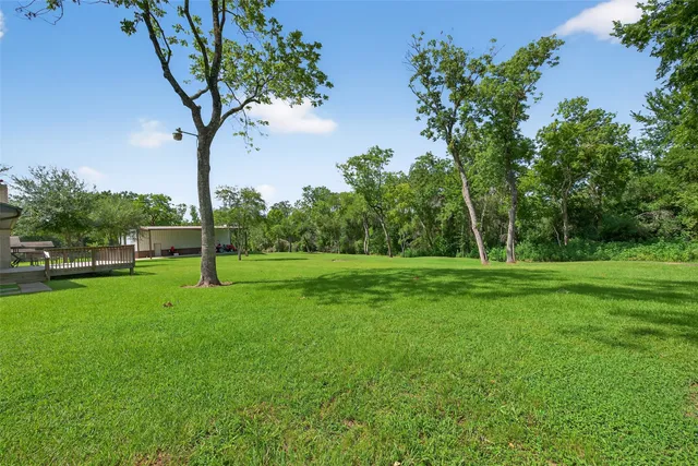 a view of a trees with a yard