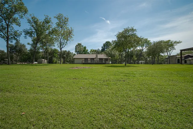 a view of a tree in a field