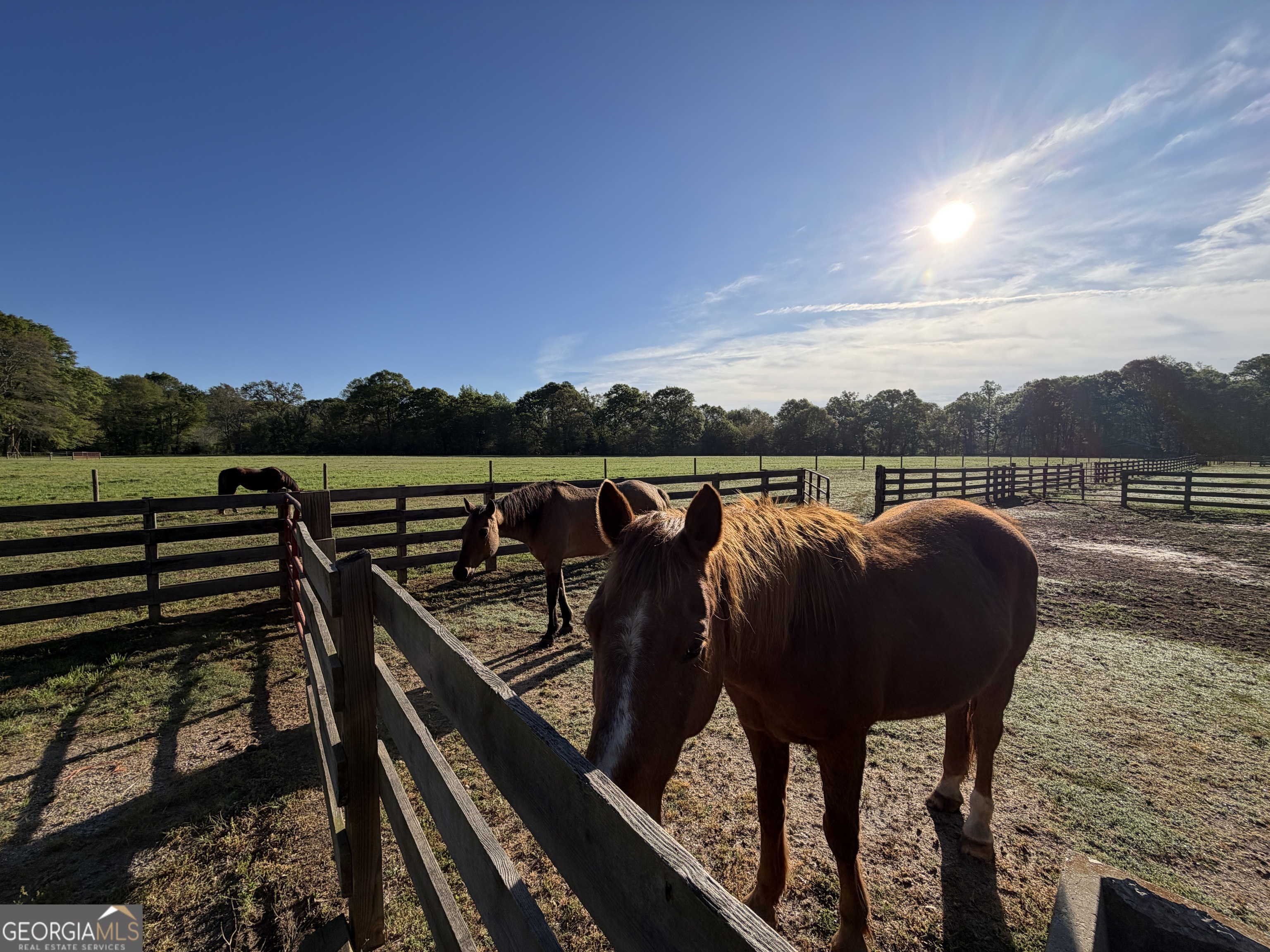 3052 Damascus Road Baldwin, GA 30511 - Photo 30 of 57