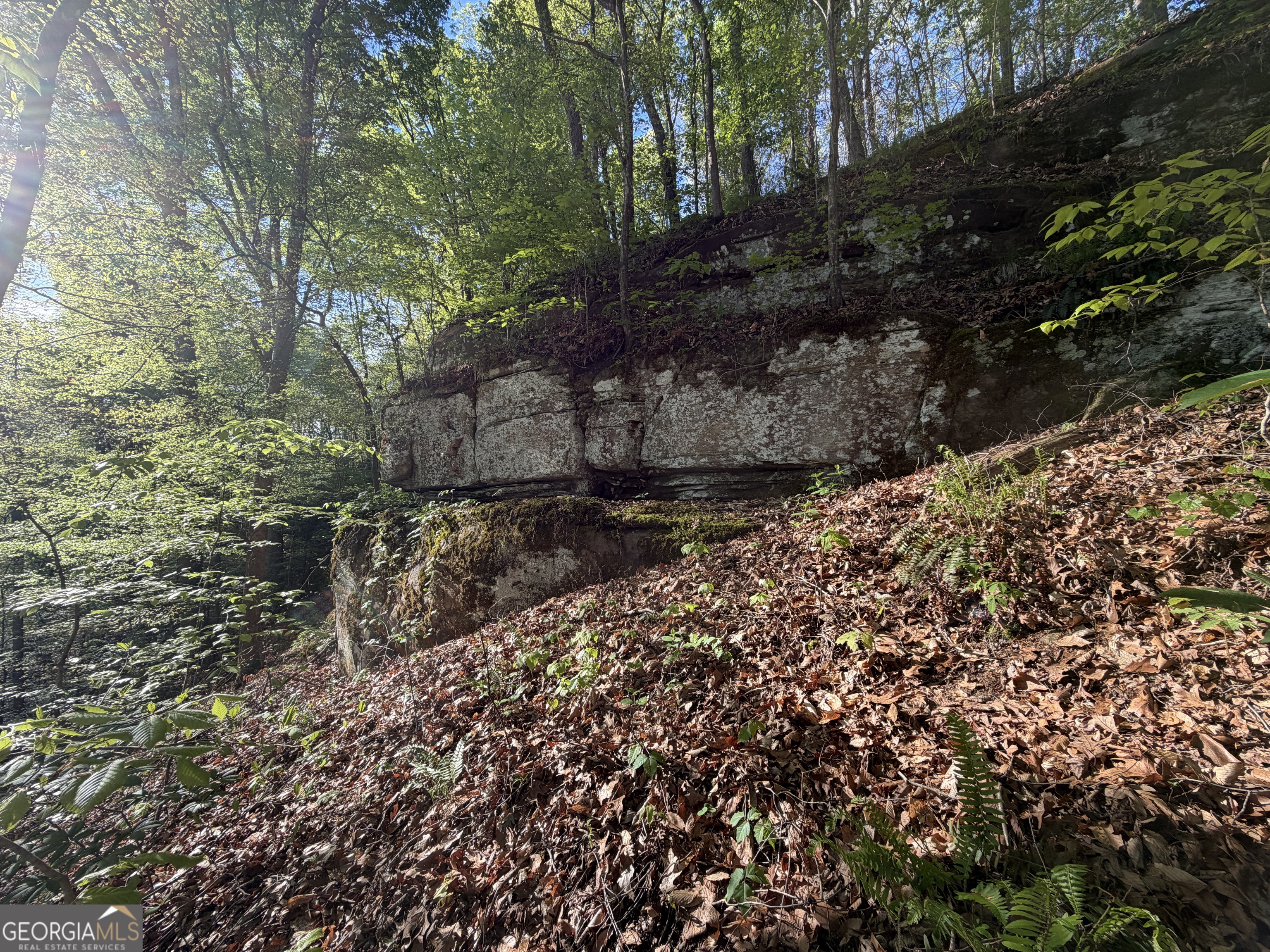 3052 Damascus Road Baldwin, GA 30511 - Photo 36 of 57