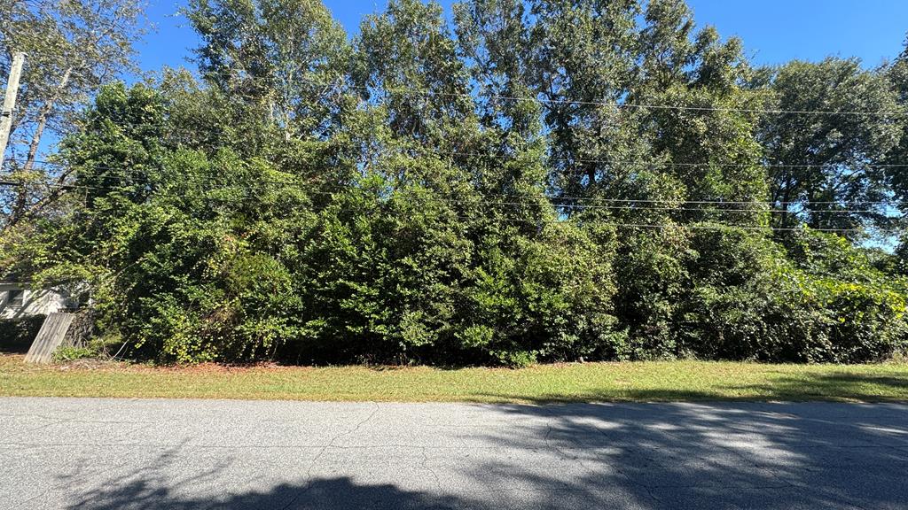 3120 Weems Road Columbus, GA 31909 - Photo 3 of 29 6420 Griffin Road