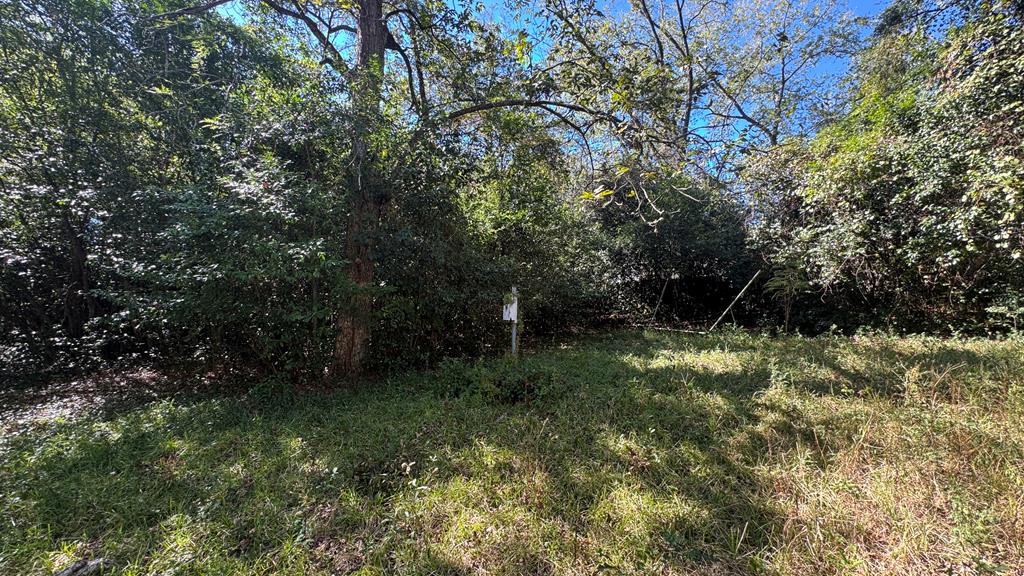 3120 Weems Road Columbus, GA 31909 - Photo 10 of 29 Gallery Image 10
