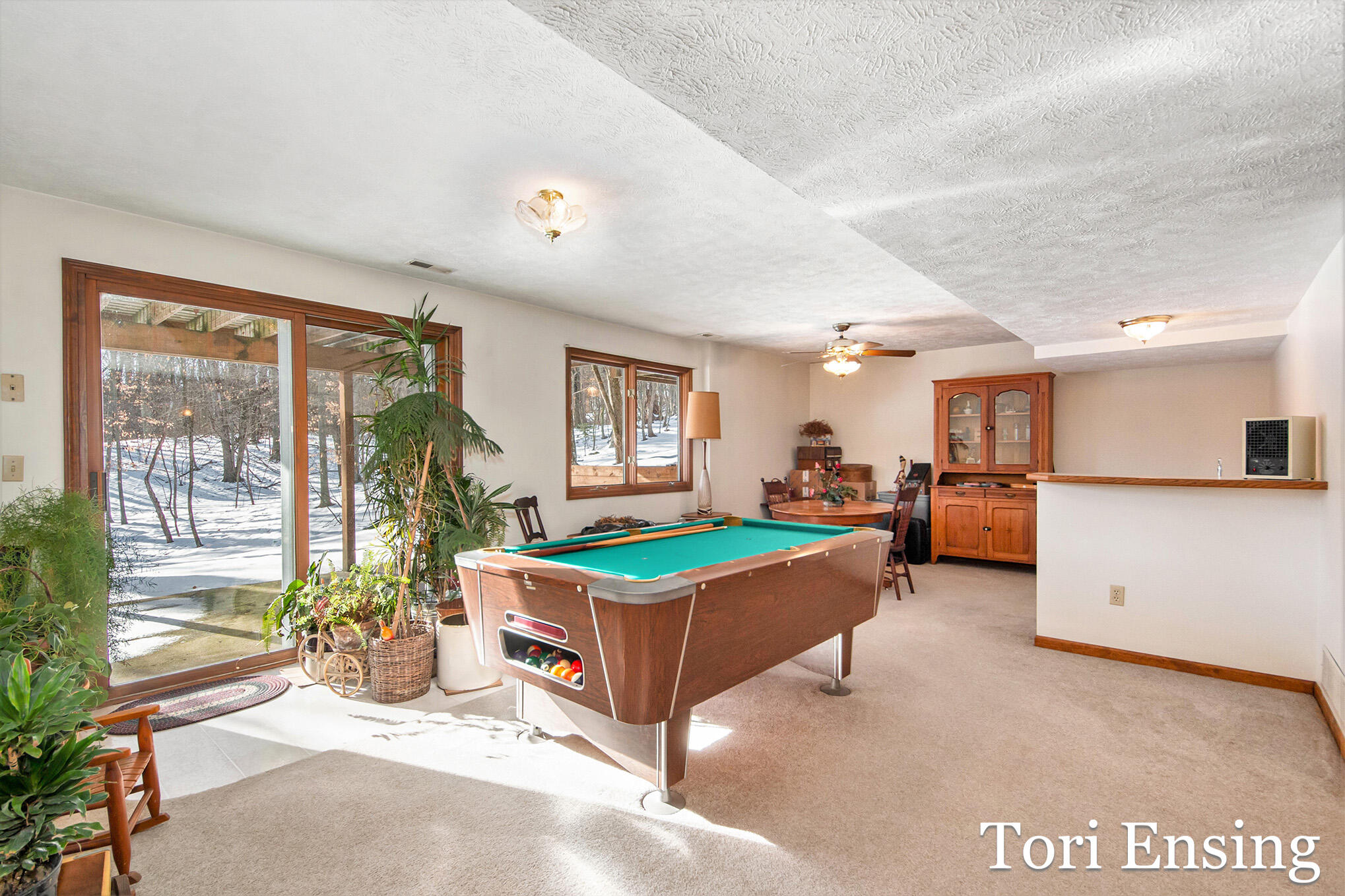 981 West Klees Road Stanton, MI 48888 - Photo 17 of 34 IMG_3608