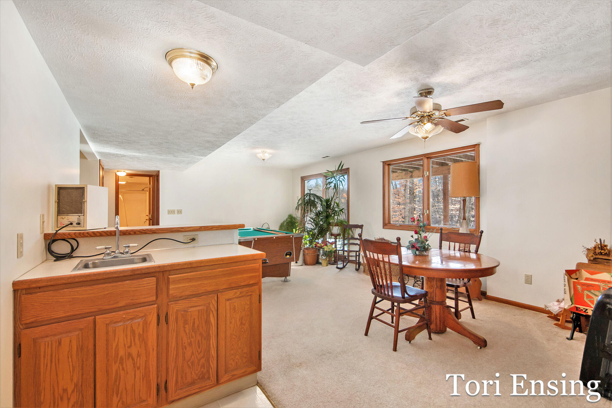 981 West Klees Road Stanton, MI 48888 - Photo 18 of 34 IMG_3616