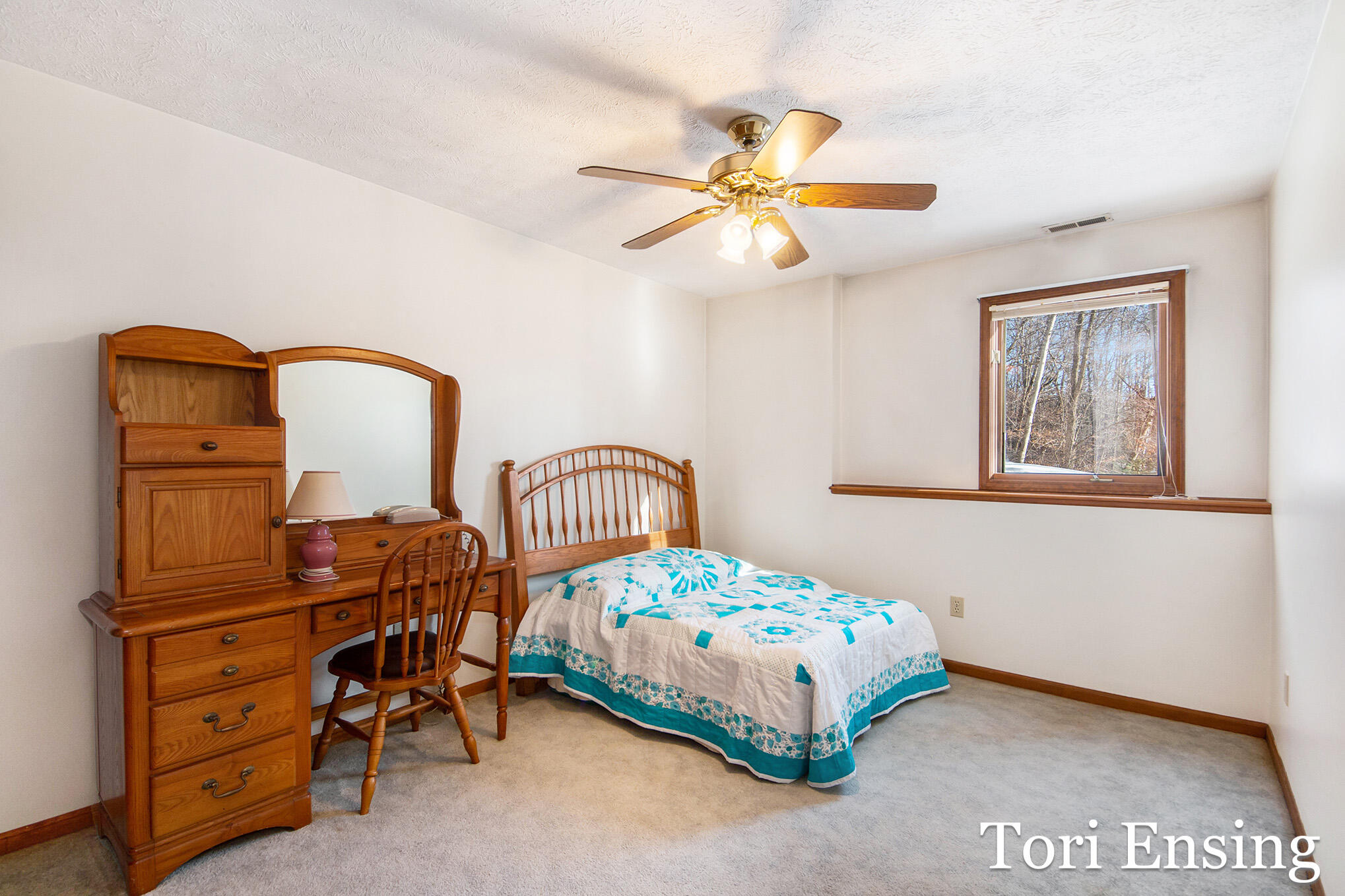 981 West Klees Road Stanton, MI 48888 - Photo 20 of 34 IMG_3602
