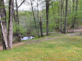 981 West Klees Road Stanton, MI 48888 - Photo 28 of 34 IMG_1240