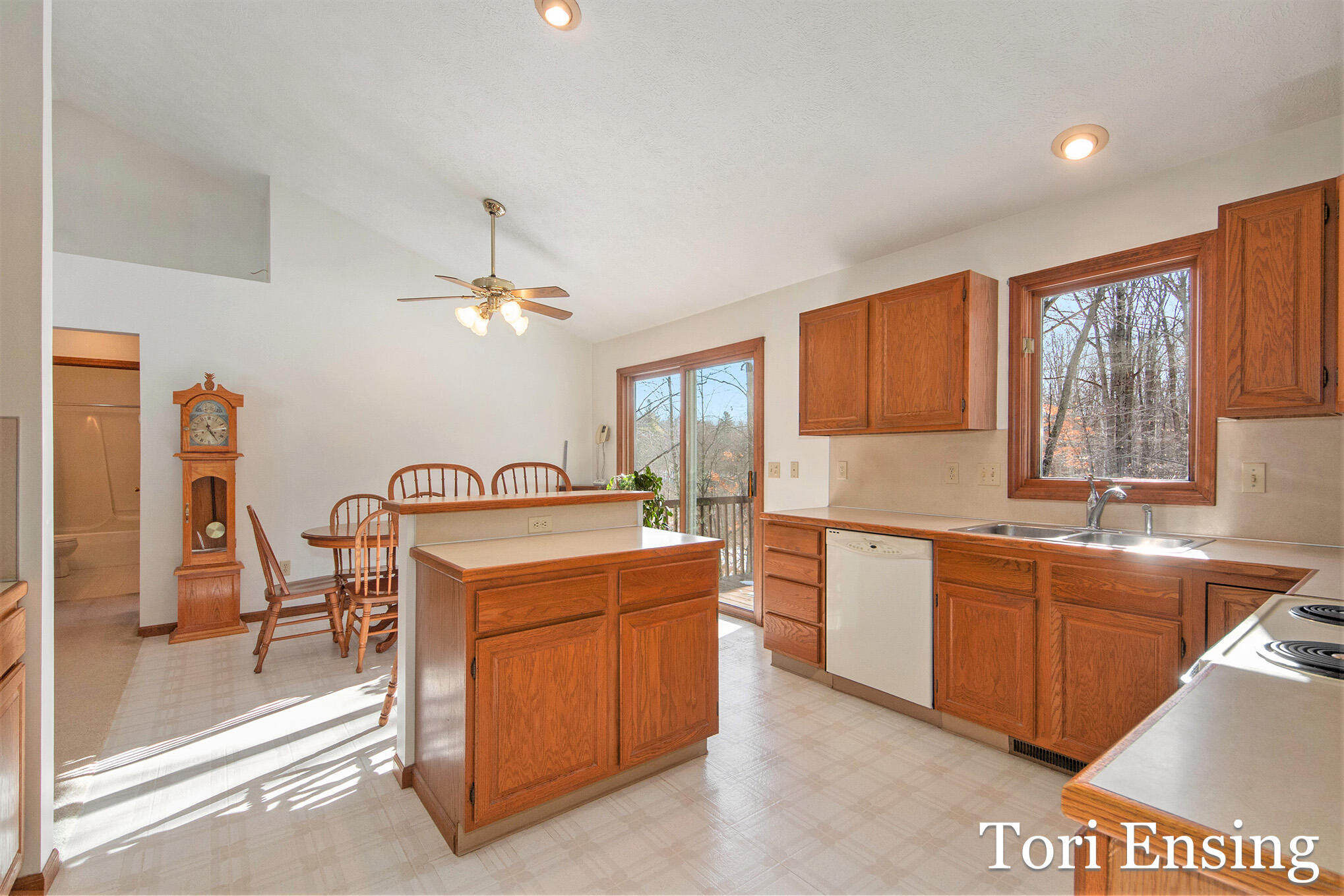 981 West Klees Road Stanton, MI 48888 - Photo 5 of 34 IMG_3640