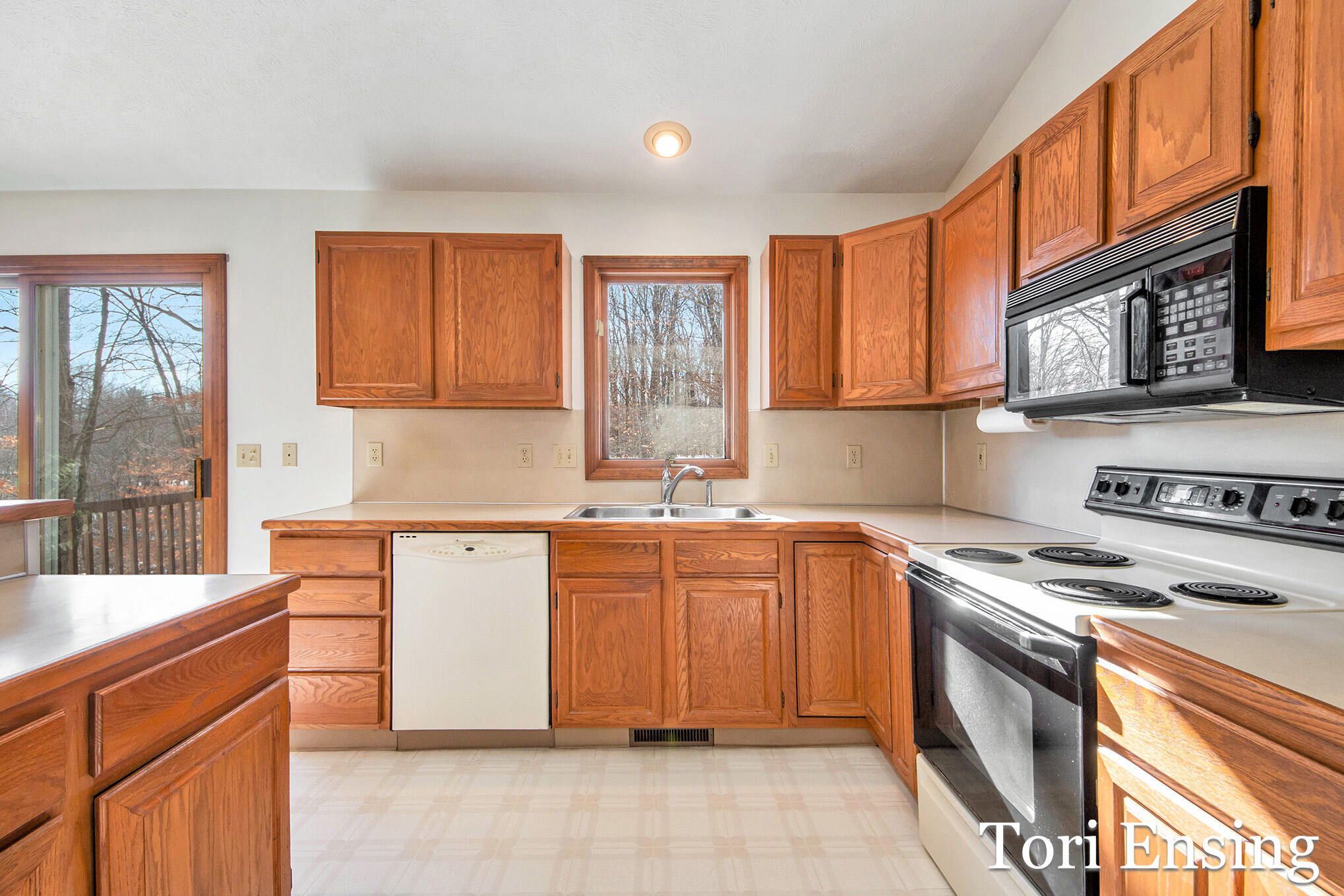 981 West Klees Road Stanton, MI 48888 - Photo 6 of 34 IMG_3634