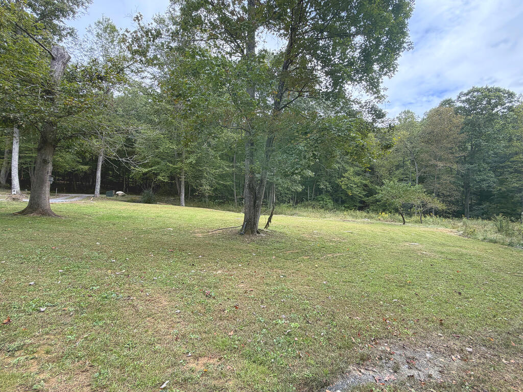1169 Will Dodd Road Jumping Branch, WV 25969 - Photo 31 of 40 Gallery Image 31