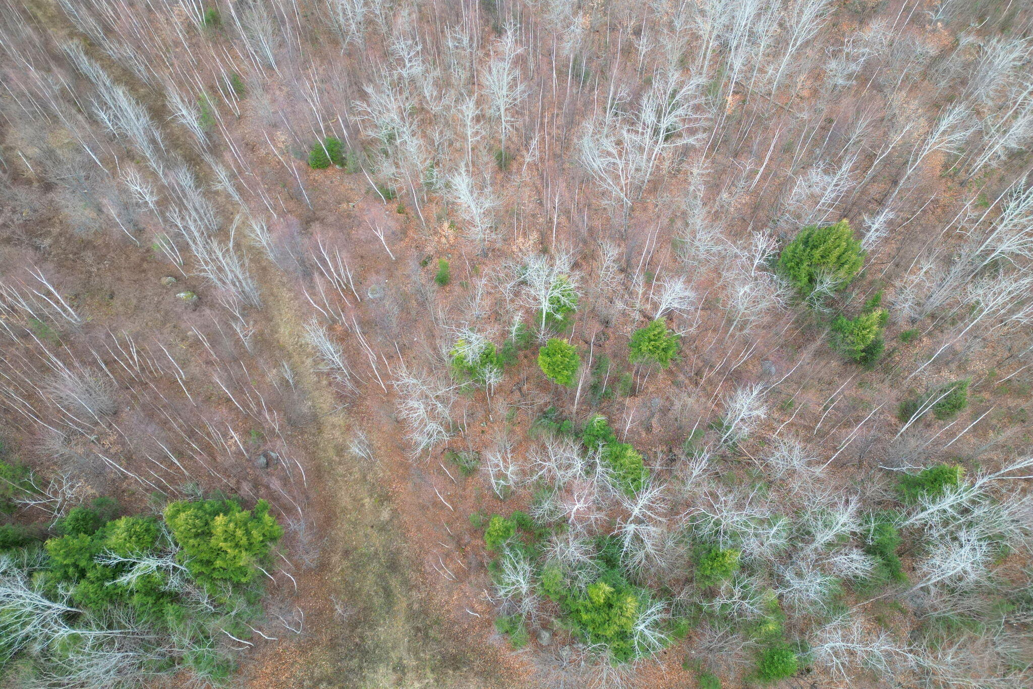 3 Map Road Old Town, ME 04468 - Photo 18 of 26
