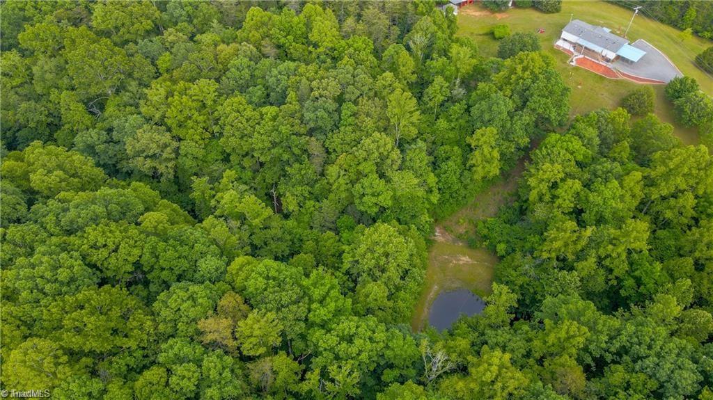 1747 Lynchburg Road Westfield, NC 27053 - Photo 49 of 49