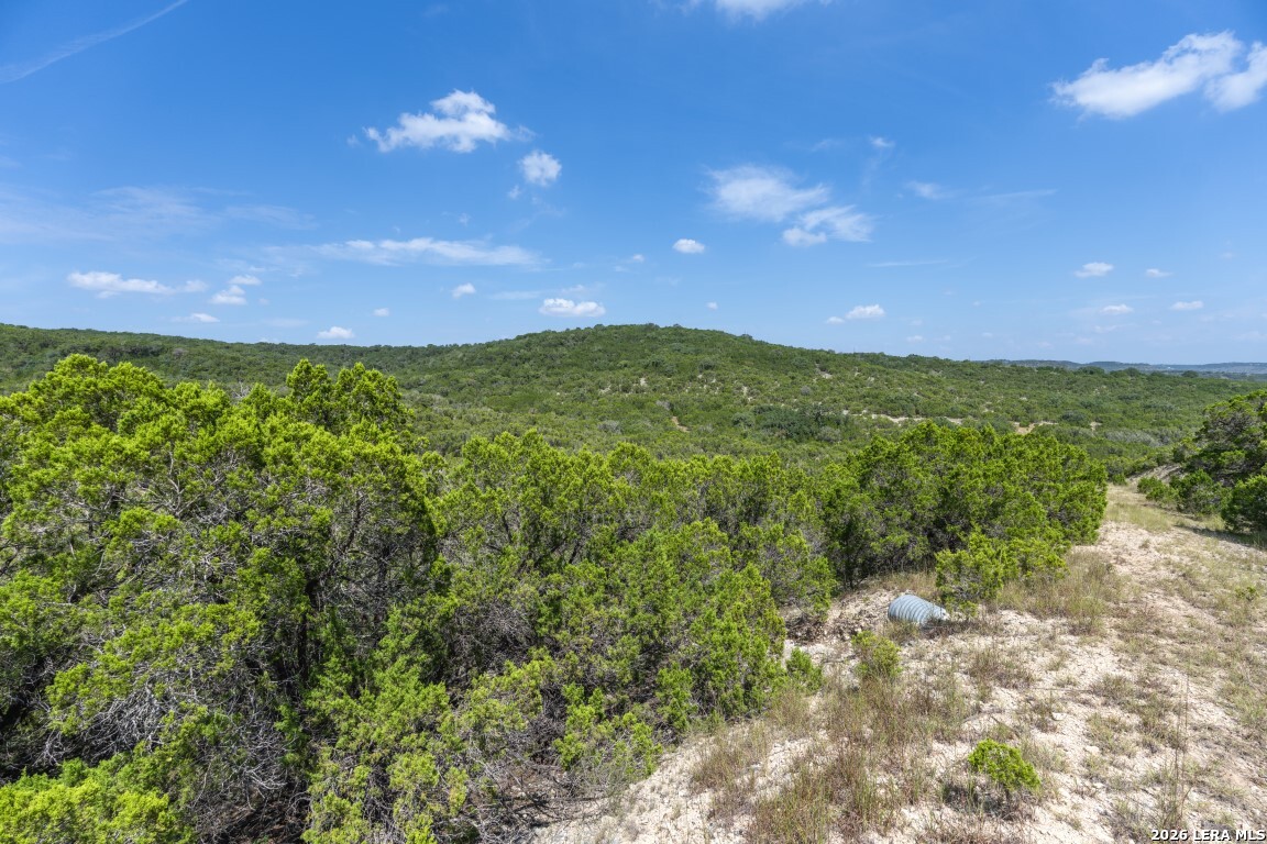 865 Arrowhead Point Helotes, TX 78023 - Photo 13 of 20