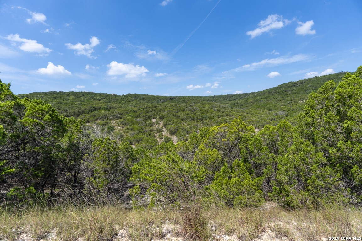 865 Arrowhead Point Helotes, TX 78023 - Photo 14 of 20