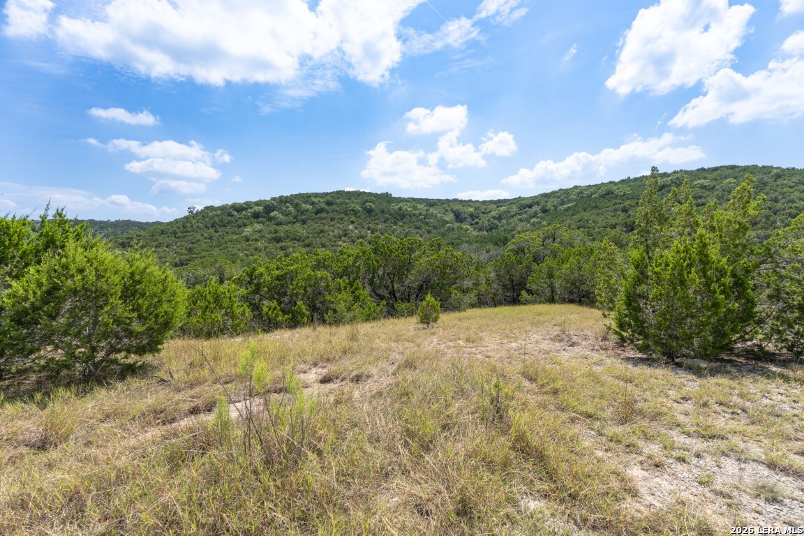 865 Arrowhead Point Helotes, TX 78023 - Photo 15 of 20