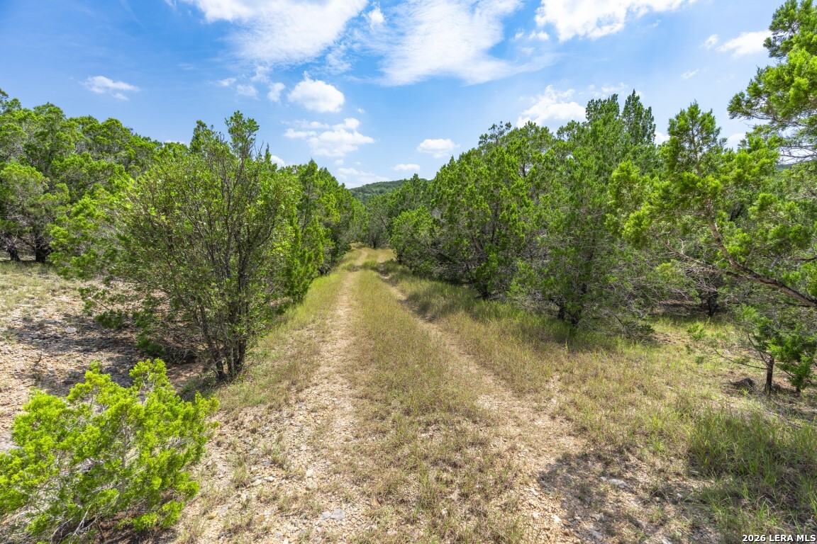 865 Arrowhead Point Helotes, TX 78023 - Photo 16 of 20