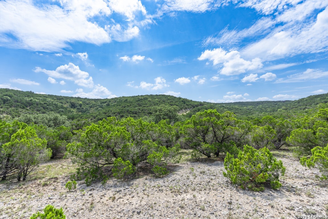 865 Arrowhead Point Helotes, TX 78023 - Photo 17 of 20