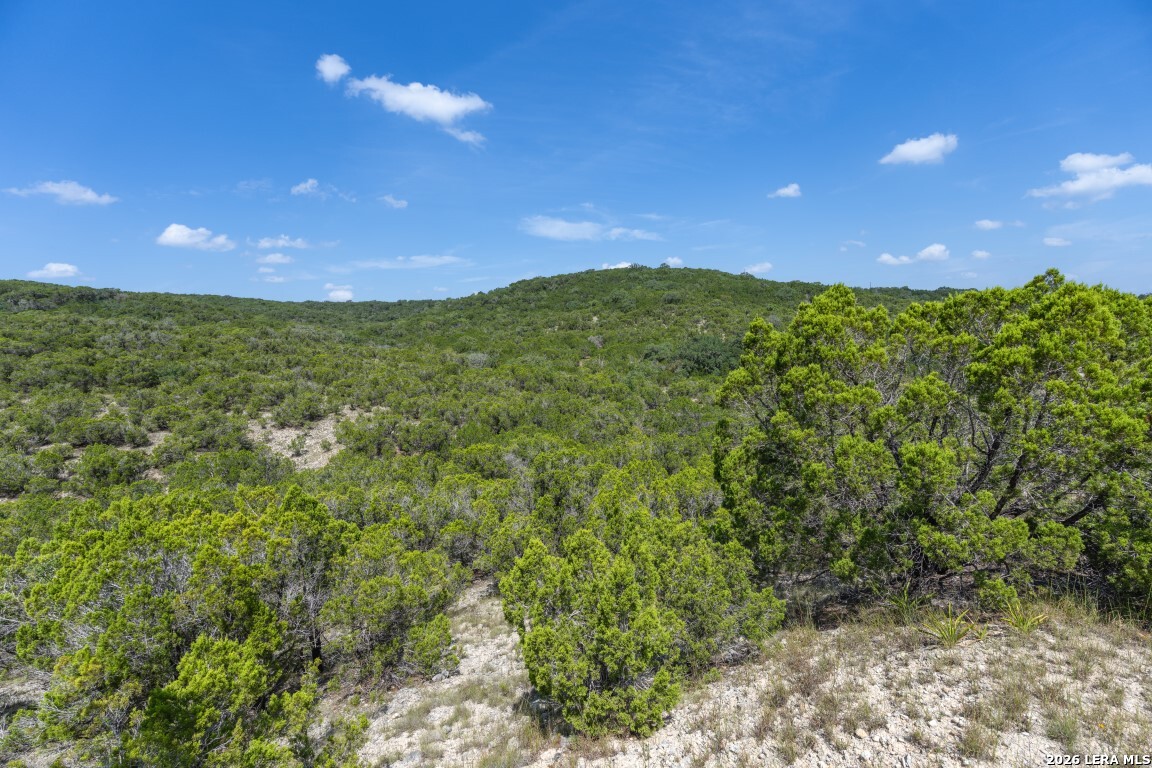 865 Arrowhead Point Helotes, TX 78023 - Photo 20 of 20