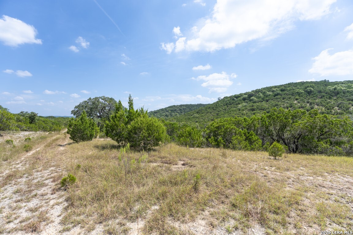 865 Arrowhead Point Helotes, TX 78023 - Photo 2 of 20
